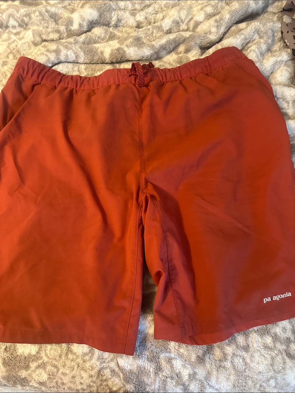 Patagonia Men's Rust Red Swim Trunks